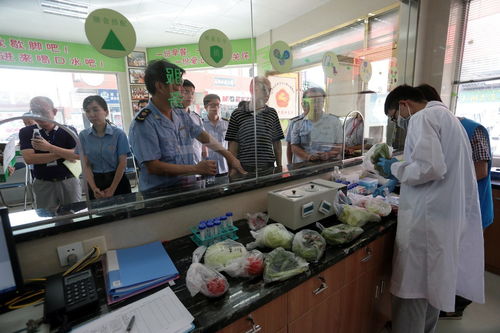 食用農產品抽檢全合格，人大代表政協委員現場見證助力零售安全